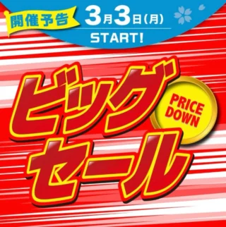 3月3日(月)〜8日(土)
春のセール開催します！

皆様のご来店お待ちしております🌸😊
